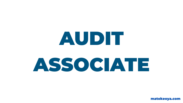 Jobs Description For Audit Associate