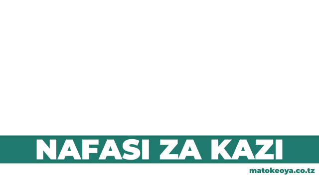 LZ Fish Suppliers Tanzania Hiring Accountant