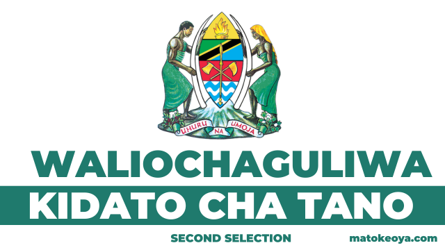 Matokeo ya Waliochaguliwa Kidato cha Tano 2025 Form five Second Selection