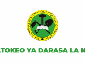 Matokeo ya Darasa la Nne 2025-26 NECTA Dar es Salaam